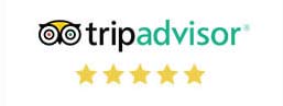 tripadvisor_rating