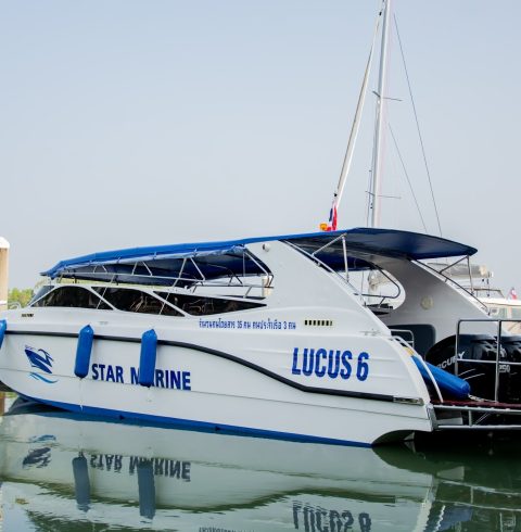 Lucus 6 Side View