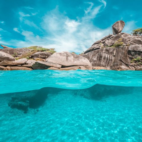 Similan Islands Underwater
