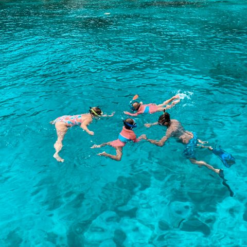 similan island snorkelling