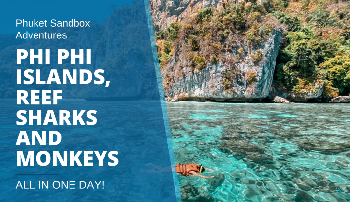 Phuket Sandbox Adventures: Phi Phi Islands, Reef Sharks And Monkeys – All In One Day!