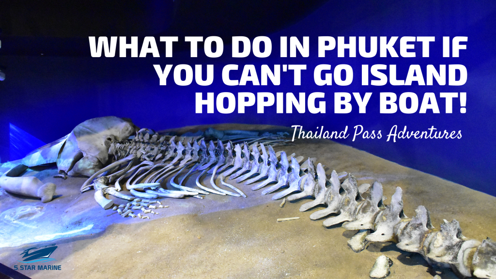 Thailand Pass Adventures – What To Do In Phuket If You Can’t Go Island Hopping By Boat!