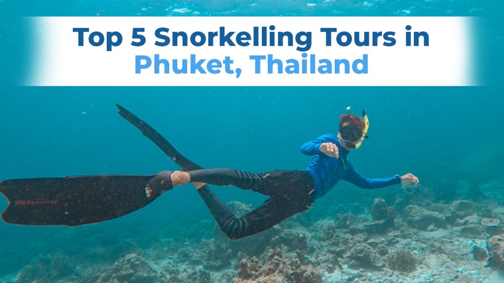 5 Star Marine Top 5 Snorkelling Tour Thumbnail