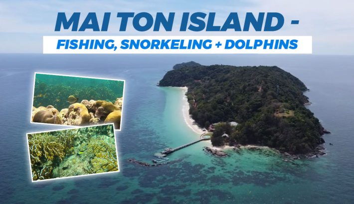 Maiton Island Phuket A perfect destination for Snorkeling, Fishing and seeing Dolphins