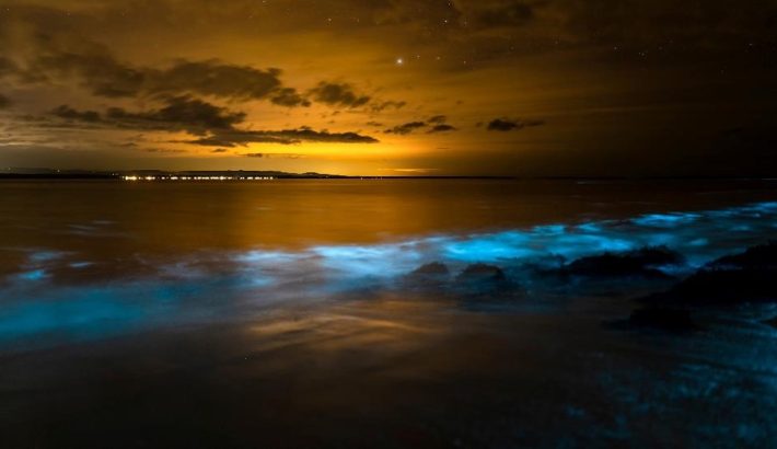 Thailand’s Glow-in-the-Dark Ocean is Pure Magic