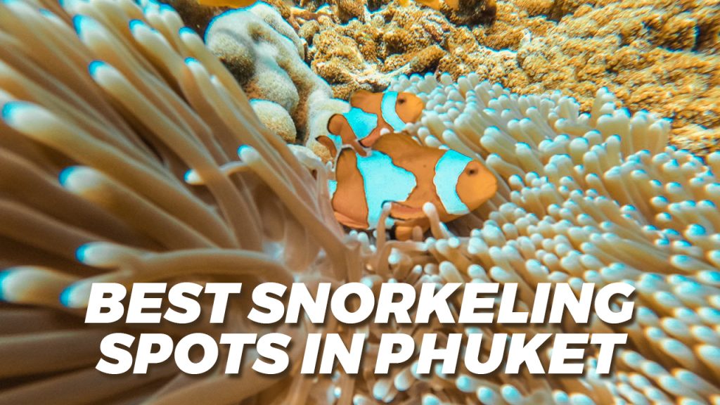Best Snorkeling Spots In Phuket