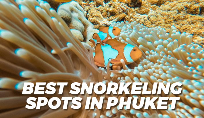 Best Snorkeling Spots In Phuket