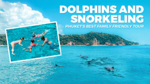Dolphins And Snorkeling Phuket Private Tour