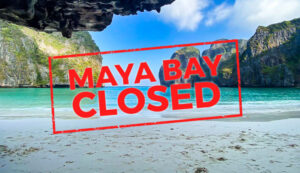 Maya Bay Opening 1st October 2023