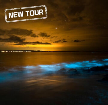 Phang Nga Bay Private Bioluminescence and Sea Canoeing Tour