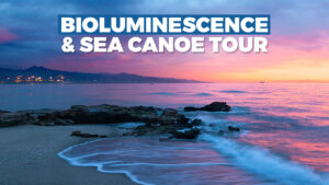 Bioluminescent and Sea Canoeing Tour