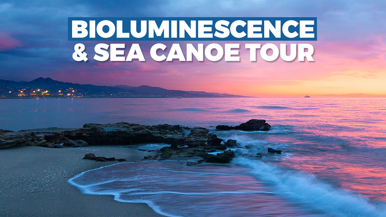 5 Stunning Bioluminescent Boating Destinations to Visit