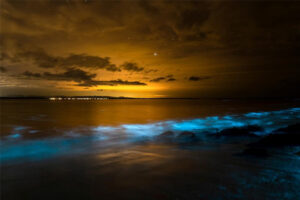 Family-Friendly Private Boat Tours 2024_Bioluminescence