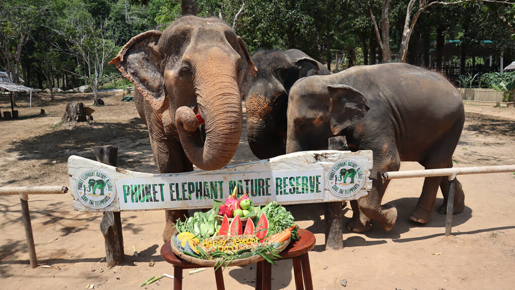 Phuket Elephant Nature Reserve